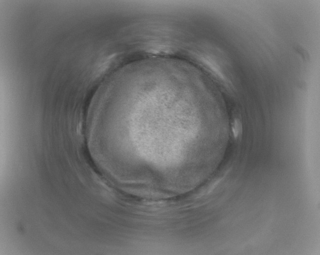 X0000115581396200911241502