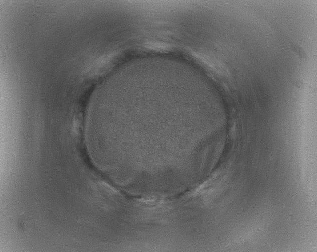 X0000115581397200911241502