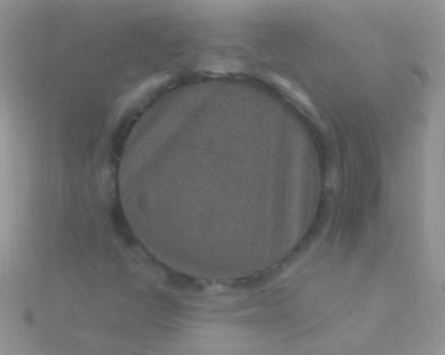 X0000115581398200911241502