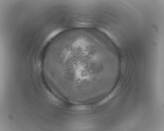 X0000115581402200911241503