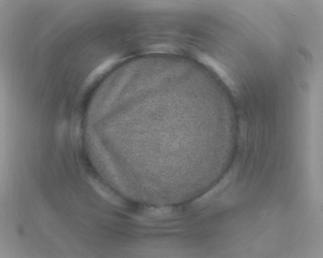 X0000115581403200911241503