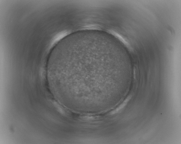 X0000115581405200911241503