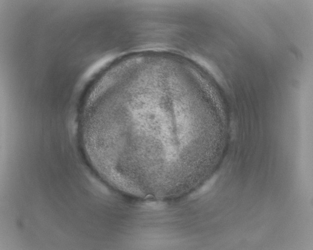 X0000115581406200911241503