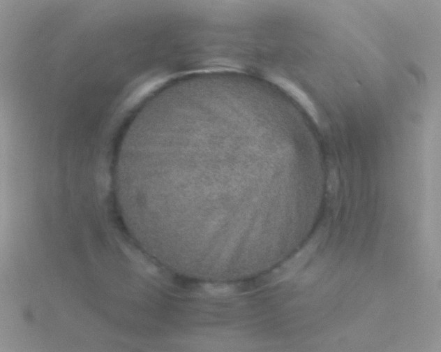 X0000115581407200911241503