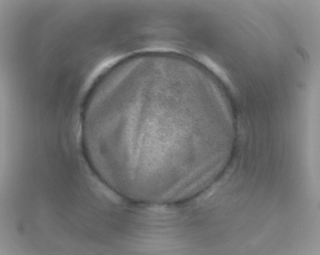 X0000115581408200911241503