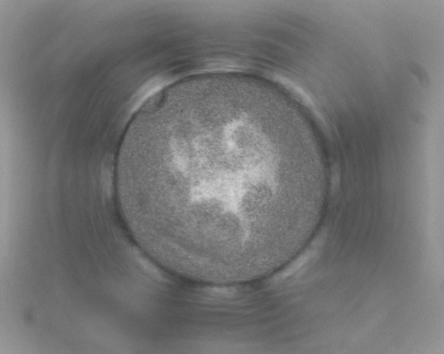 X0000115581409200911241503