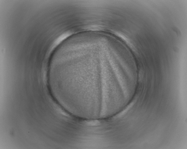 X0000115581410200911241503