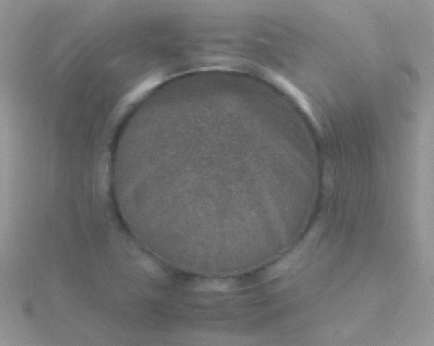 X0000115581411200911241503