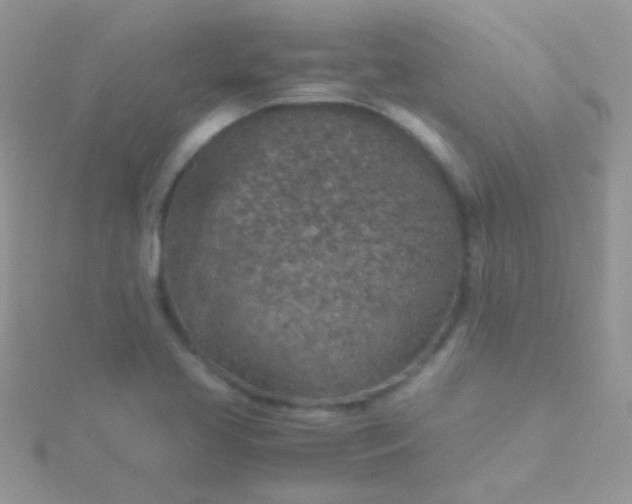 X0000115581413200911241503