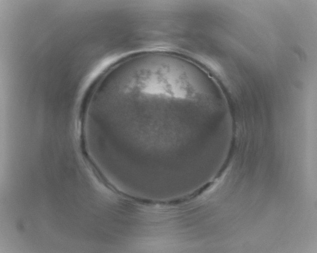 X0000115581414200911241503