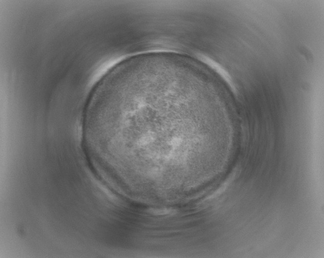 X0000115581415200911241503