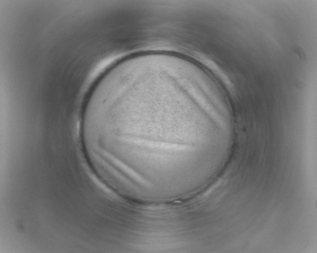 X0000115581416200911241503