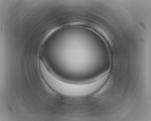 X0000115581417200911241503