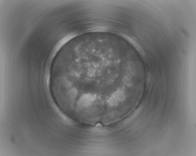 X0000115581418200911241503