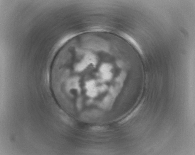 X0000115581419200911241503