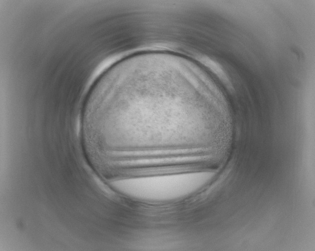 X0000115581420200911241503