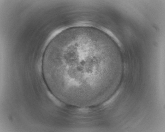 X0000115581421200911241503