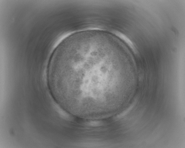 X0000115581423200911241503