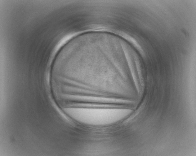 X0000115581424200911241503