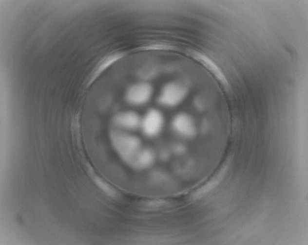 X0000115581425200911241503