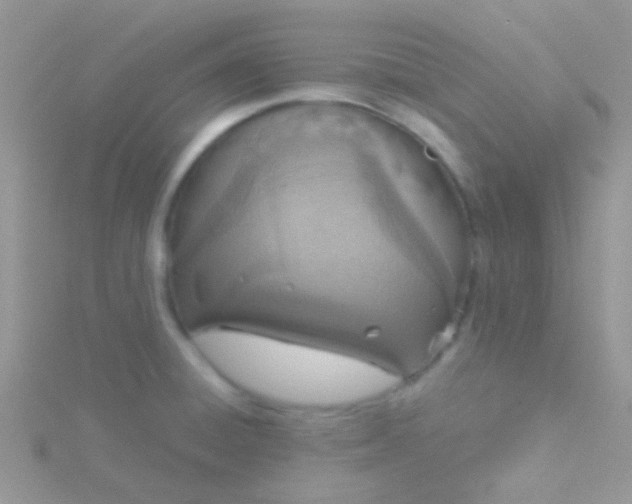 X0000115581428200911241503