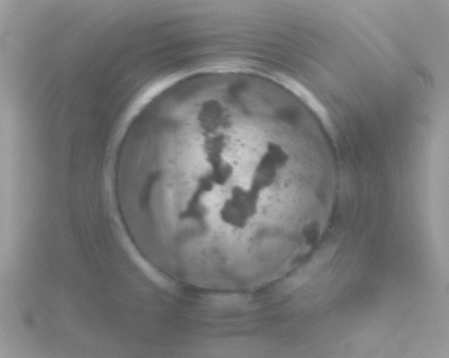 X0000115581429200911241503