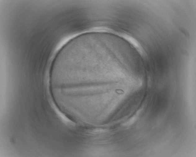 X0000115581430200911241503