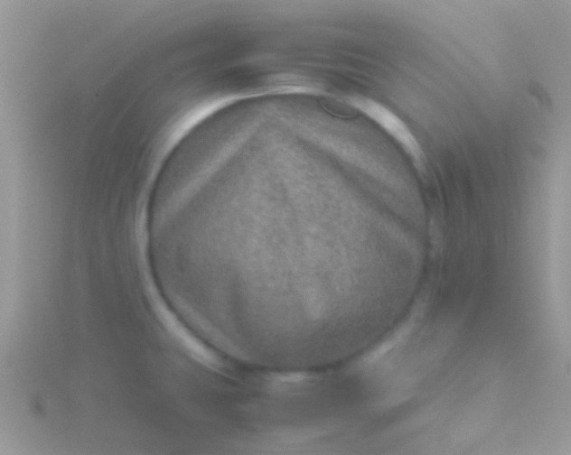 X0000115581431200911241503