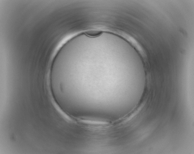 X0000115581432200911241503