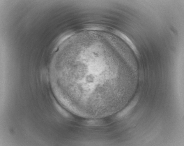 X0000115581433200911241503