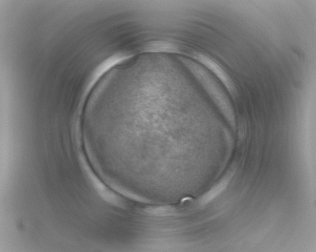 X0000115581434200911241503