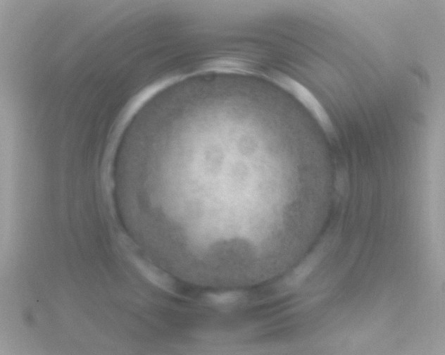 X0000115581435200911241503