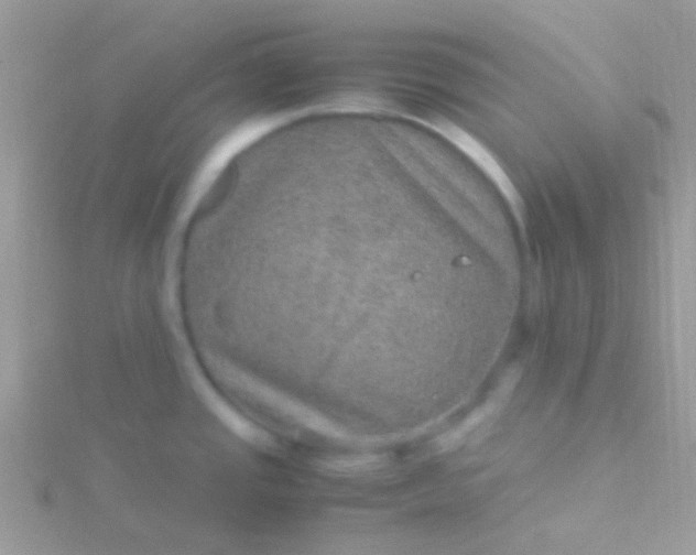 X0000115581437200911241503