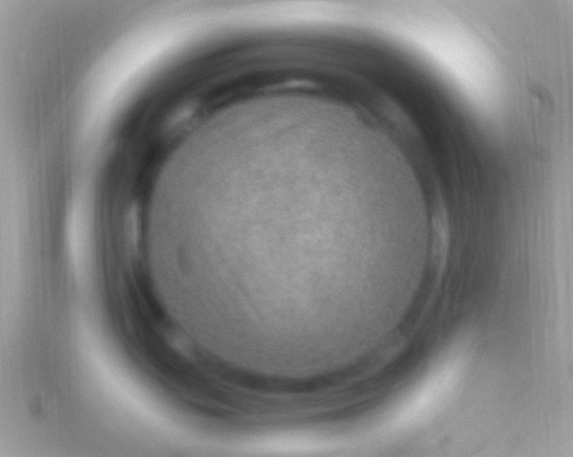 X0000115581439200911241503