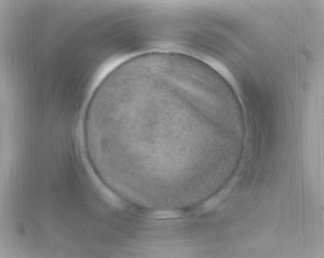 X0000115581440200911241503