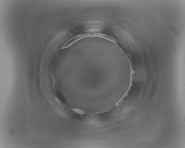 X0000115581441200911241502