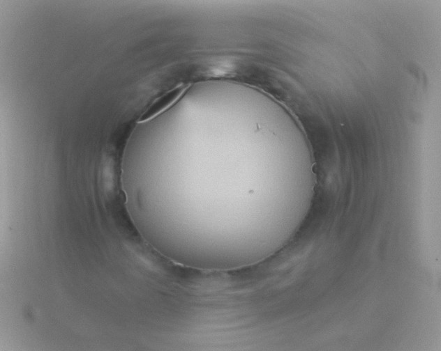 X0000115581442200911241502