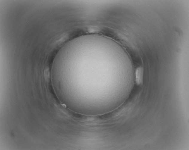 X0000115581443200911241502