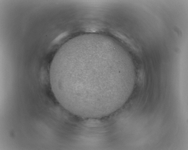 X0000115581446200911241502