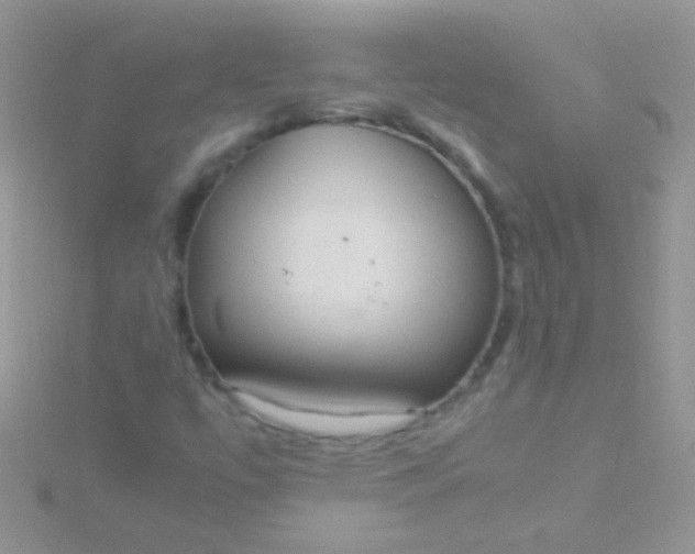 X0000115581447200911241502