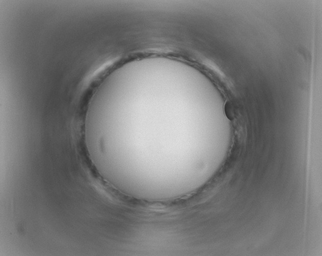 X0000115581448200911241502