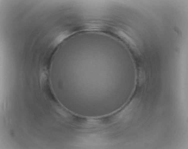 X0000115581449200911241502