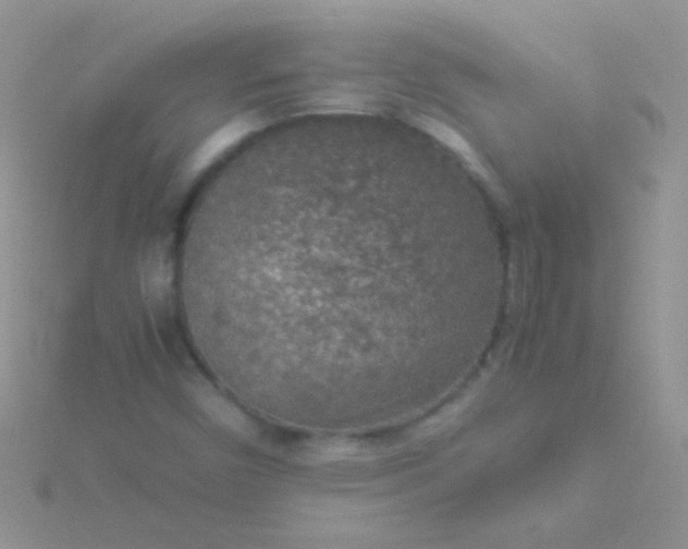 X0000115581450200911241502