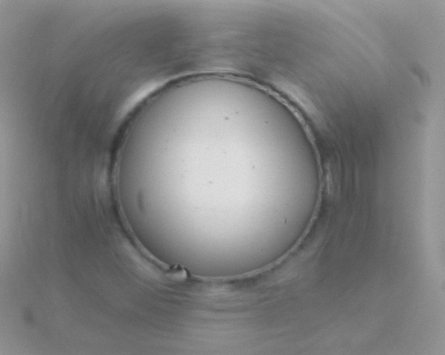 X0000115581452200911241502