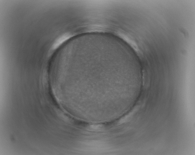 X0000115581453200911241502