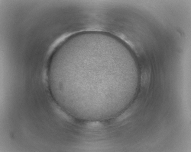 X0000115581454200911241502