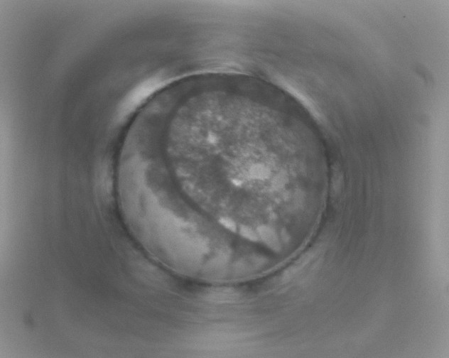 X0000115581455200911241502