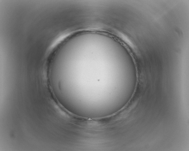 X0000115581456200911241502