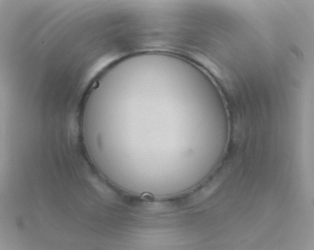 X0000115581458200911241502