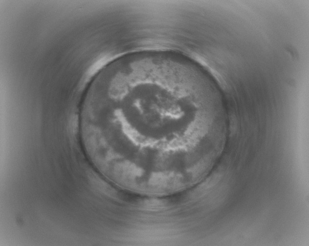 X0000115581459200911241502